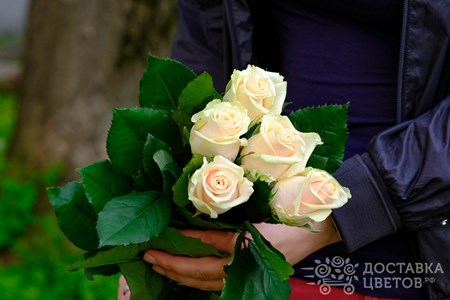 Букет из 5 кремовых роз "Талея"